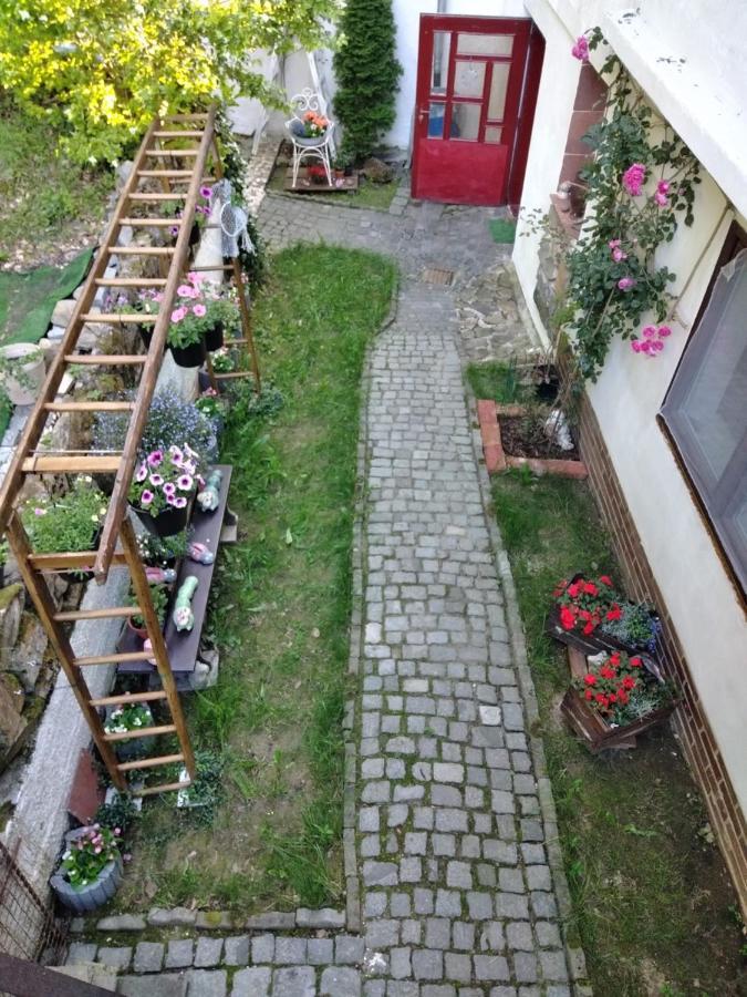 Salas-Dum Pro Spolecnou Dovolenou Az 11 Osob Exterior foto